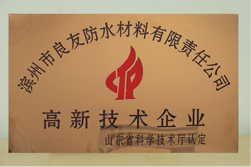 山東省高新技術企業(yè)